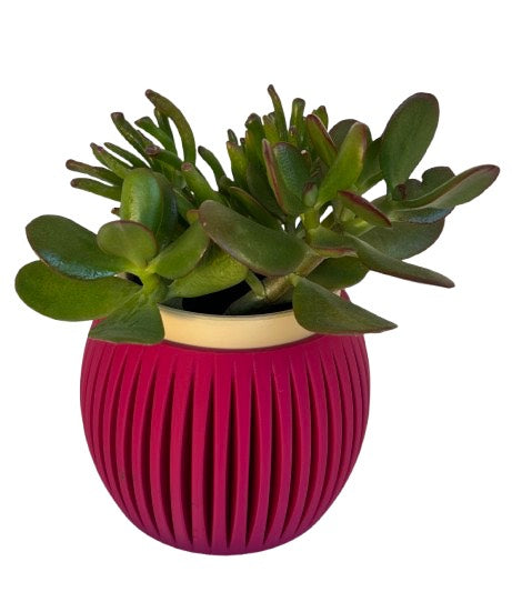 RippleSphere Planter