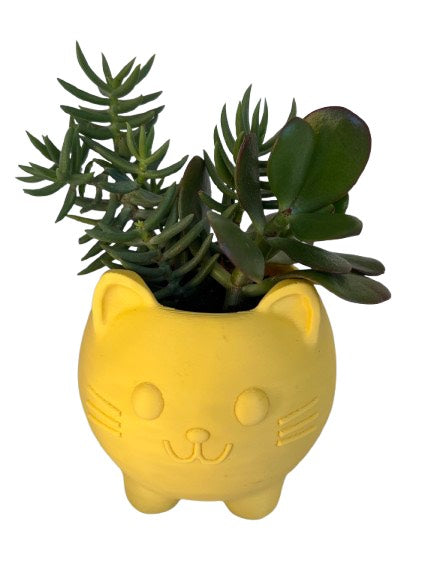 Mini Creature Planters – Choose Your Potter + Your Colour!
