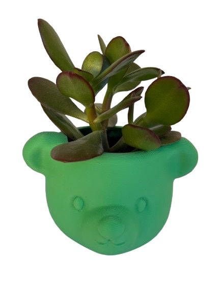 Mini Creature Planters – Choose Your Potter + Your Colour!
