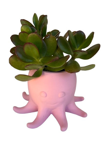 Mini Creature Planters – Choose Your Potter + Your Colour!